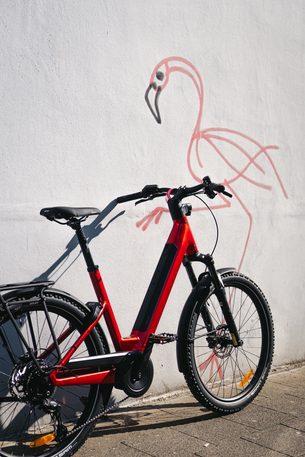 cyclingworld 2026 cpiarazzi 227