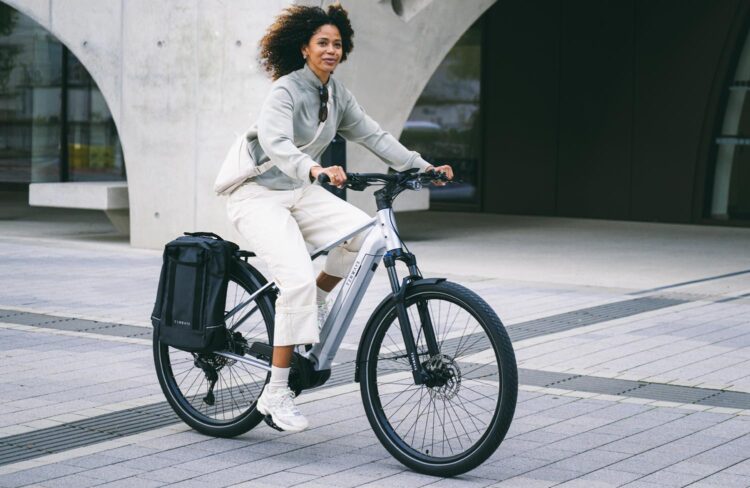 tenways ago x special edition silver