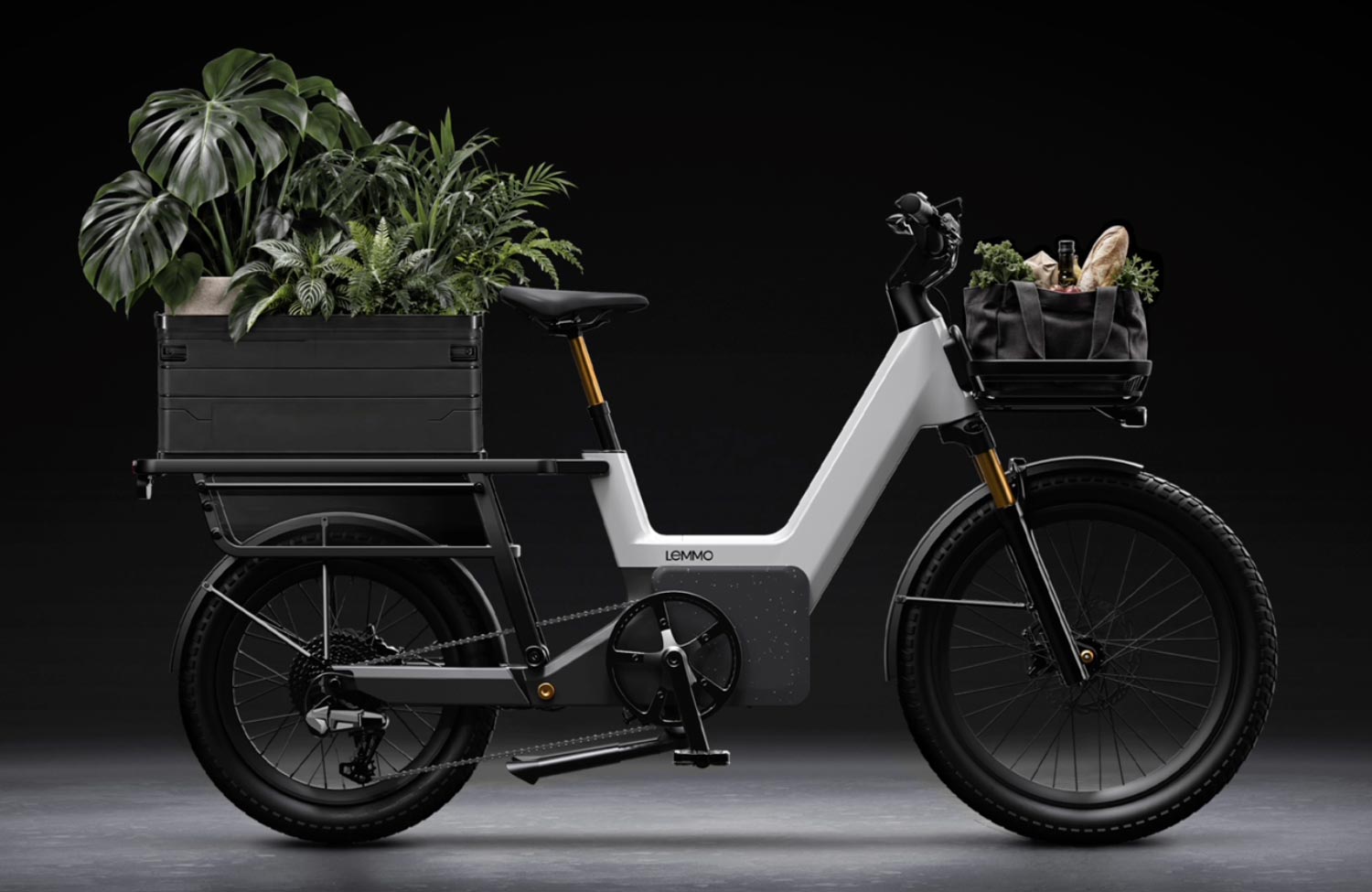lemmo 3 lastenrad cargo bike strage