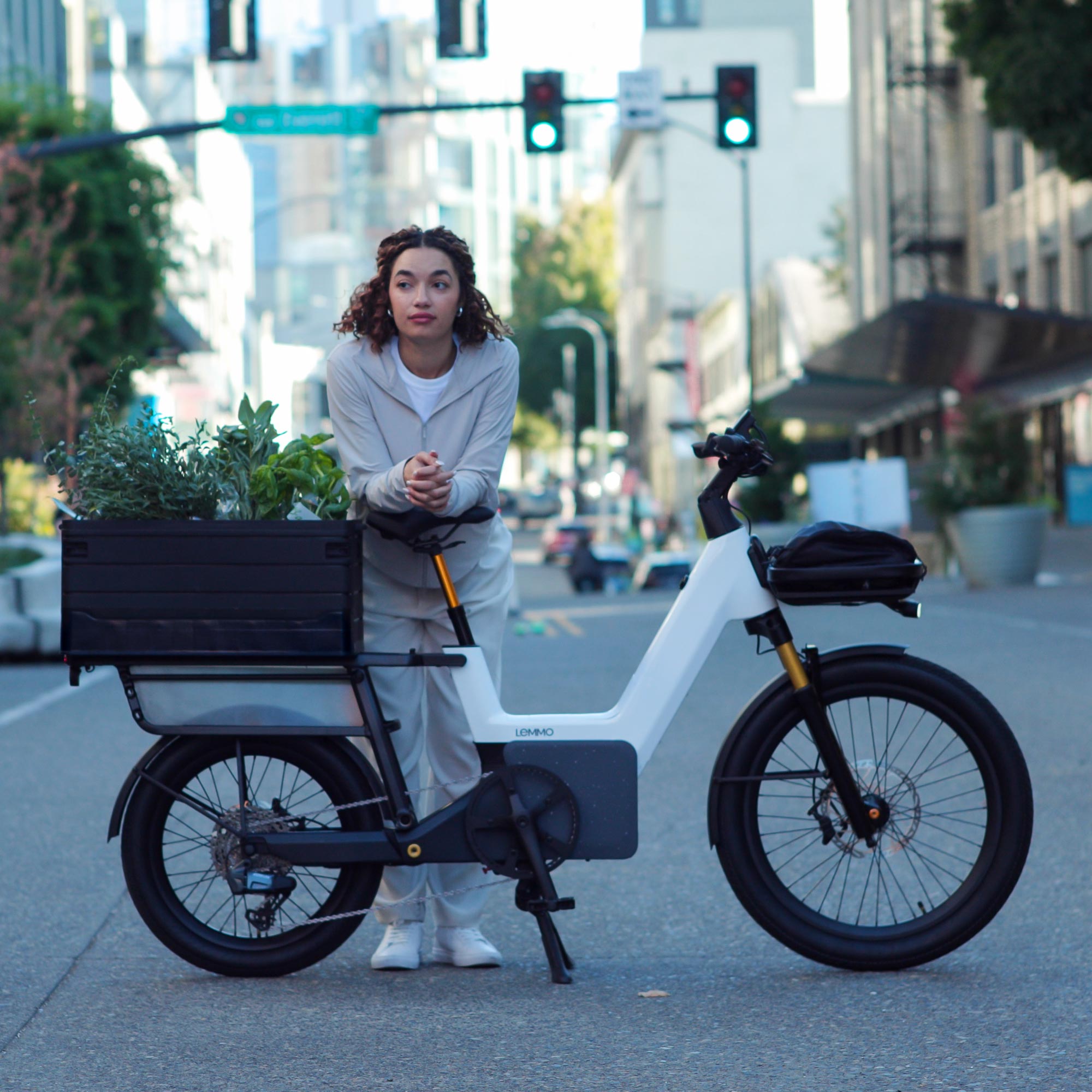 lemmo 3 lastenrad cargo bike urban